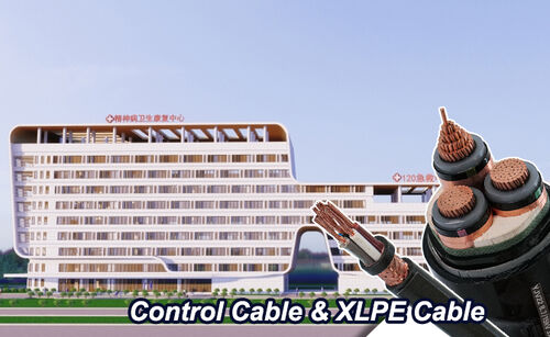 Latest company Solutions about Jingmen city Shayang County People’s Hospital