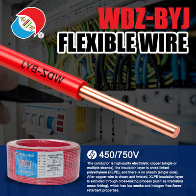 High Rise Cble WDZ-BYJ 2.5mm² LSZH Flame-Retardant Cable for Buildings