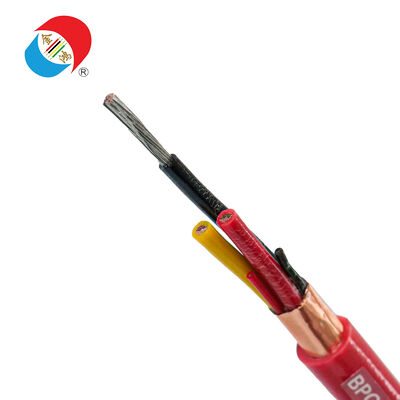 Good price BPGGP2 Instrumentation and Control Cable - Polyethylene Insulated, Overall Shielded, PVC Sheathed online